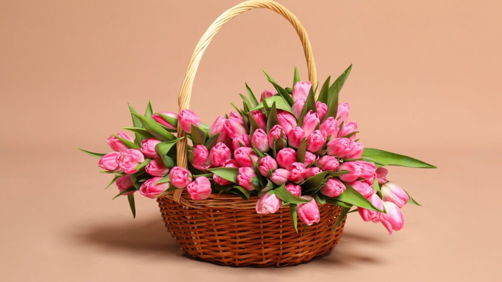 arti bunga tulip